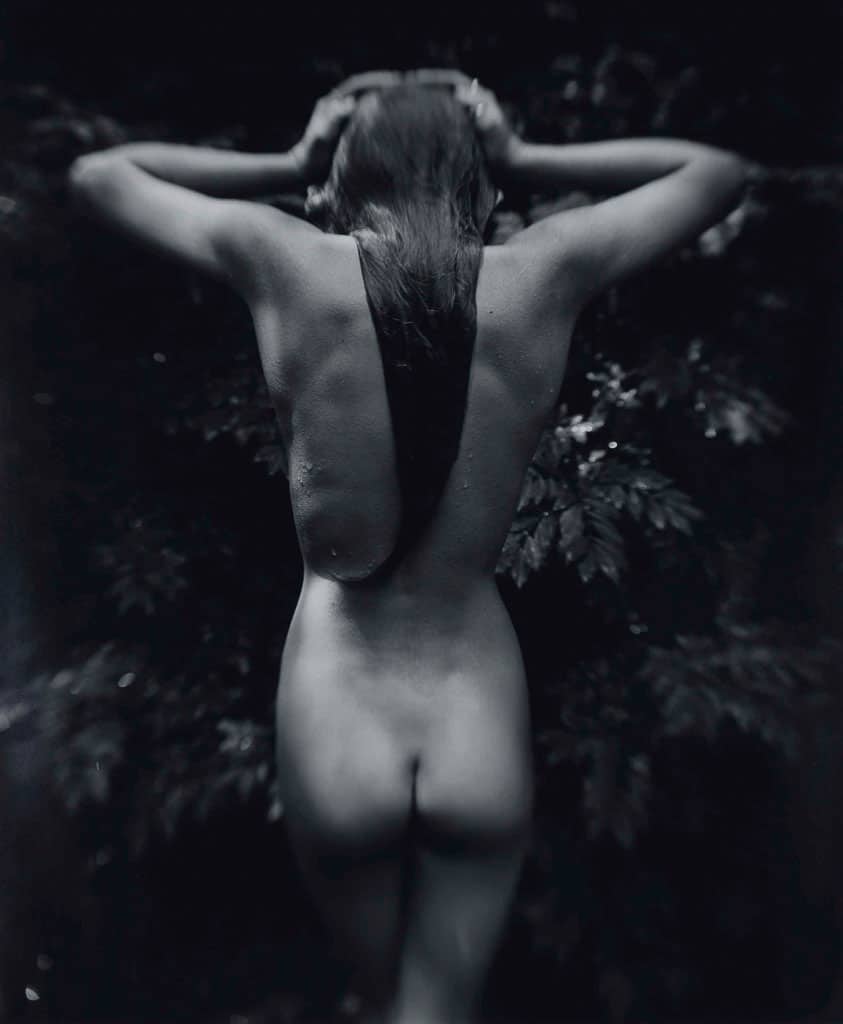 sally-mann,photography,christies,auction,collodion,pictorialism