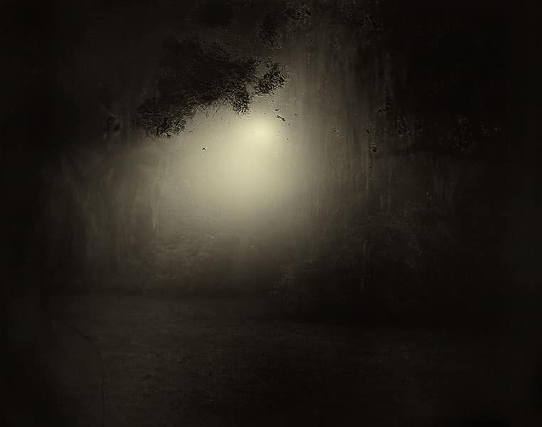 sally-mann,photography,southern-landscape,collodion,pictorialism